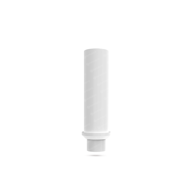 Any 100 Castable Plastic Abutments for - Internal Hex