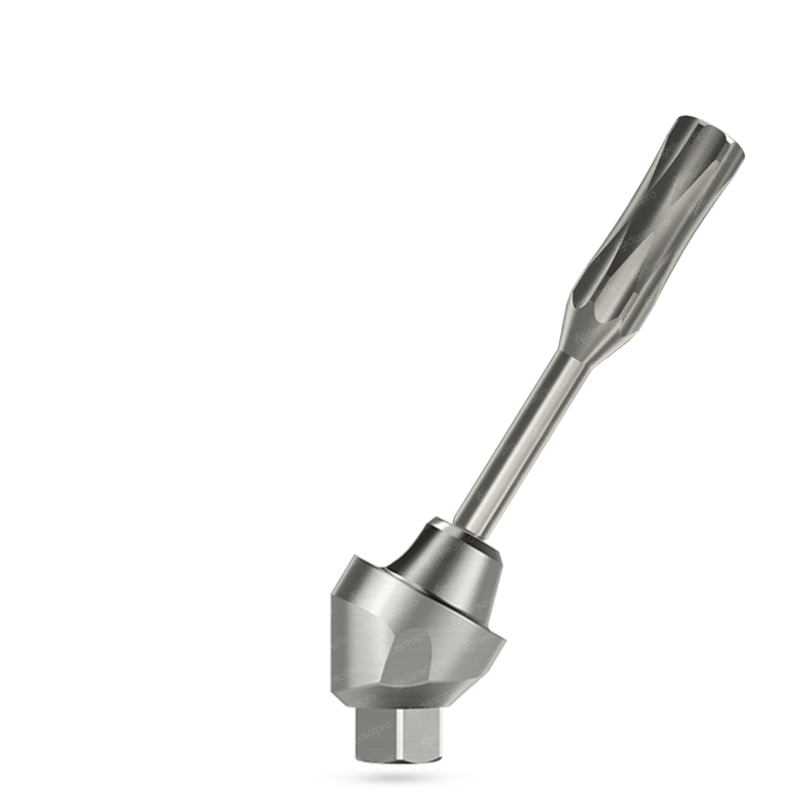Juego Completo de Pilares de Titanio de Unidad Múltiple Angulados a 30° para Implante Dental - Hexágono Interno (SP)