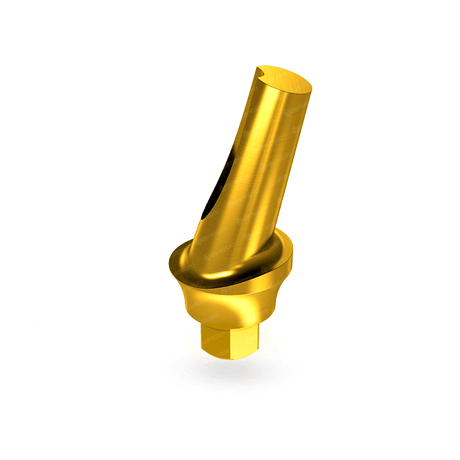 15° Angled Concave Titanium Abutment for Dental Implant - Internal Hex (SP)