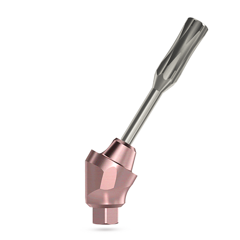 Angled multi unit set for dental implant - mount holder multi unit side view