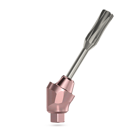 Angled multi unit set for dental implant - mount holder multi unit side view