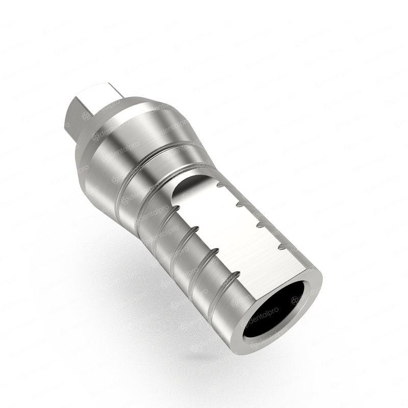 Straight Titanium Abutment for Dental Implant - Internal Hex (SP)