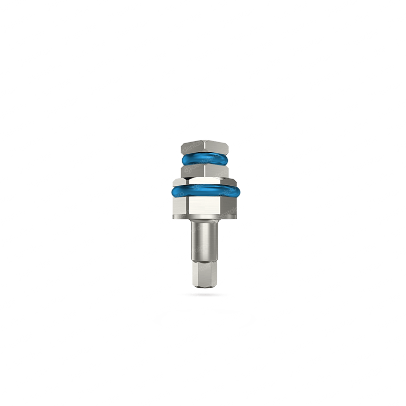 Ratchet Hex Driver 2.42mm Adapter - Internal Hex (SP) – Dental Pro™