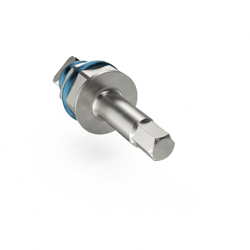 Ratchet Hex Driver 2.42mm Adapter - Internal Hex (SP) – Dental Pro™
