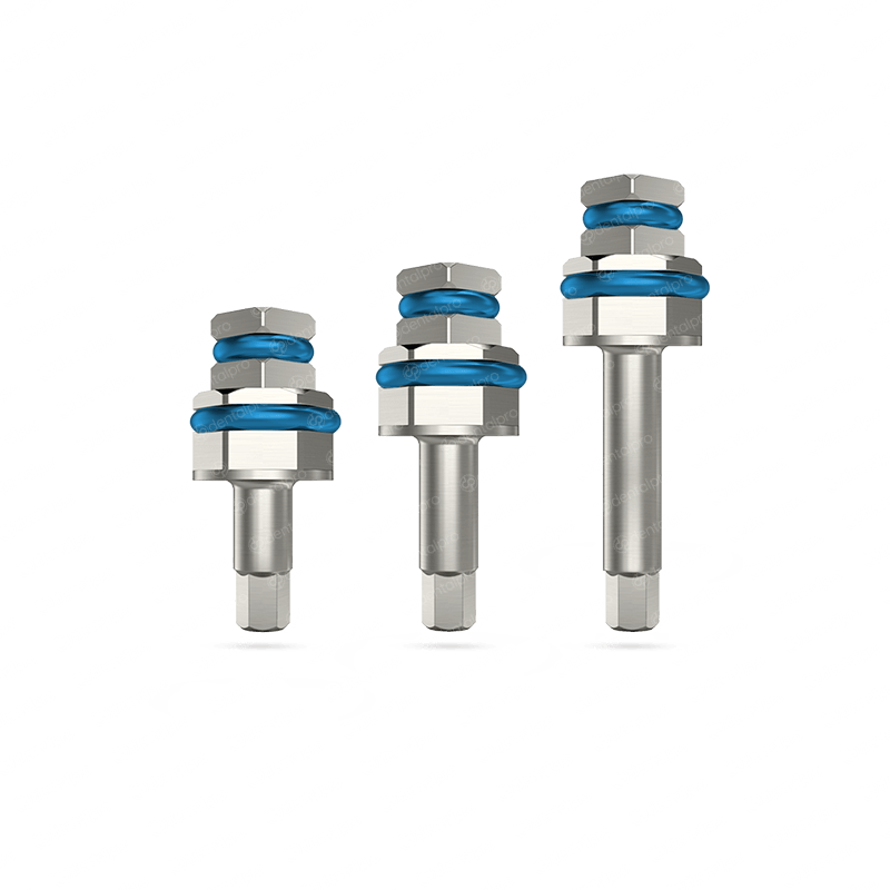 Ratchet Hex Driver 2.42mm Adapter - Internal Hex (SP) – Dental Pro™