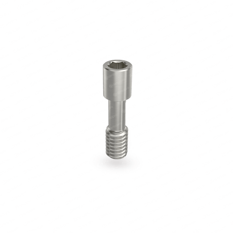 Prosthetic Screw for Abutment - Internal Hex (SP)