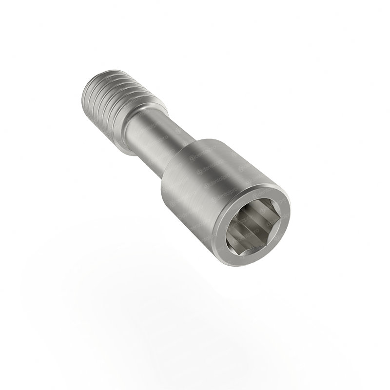 Wide Straight Titanium Shoulder Abutment for Dental Implant - Internal Hex (SP)