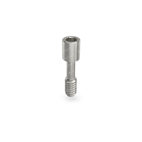 Prosthetic Screw for Abutment - Internal Hex (NP)