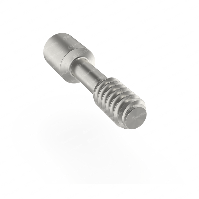 Hexagonal Plastic Castable Abutment - Internal Hex (NP)