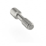 Hexagonal Plastic Castable Abutment - Internal Hex (NP)