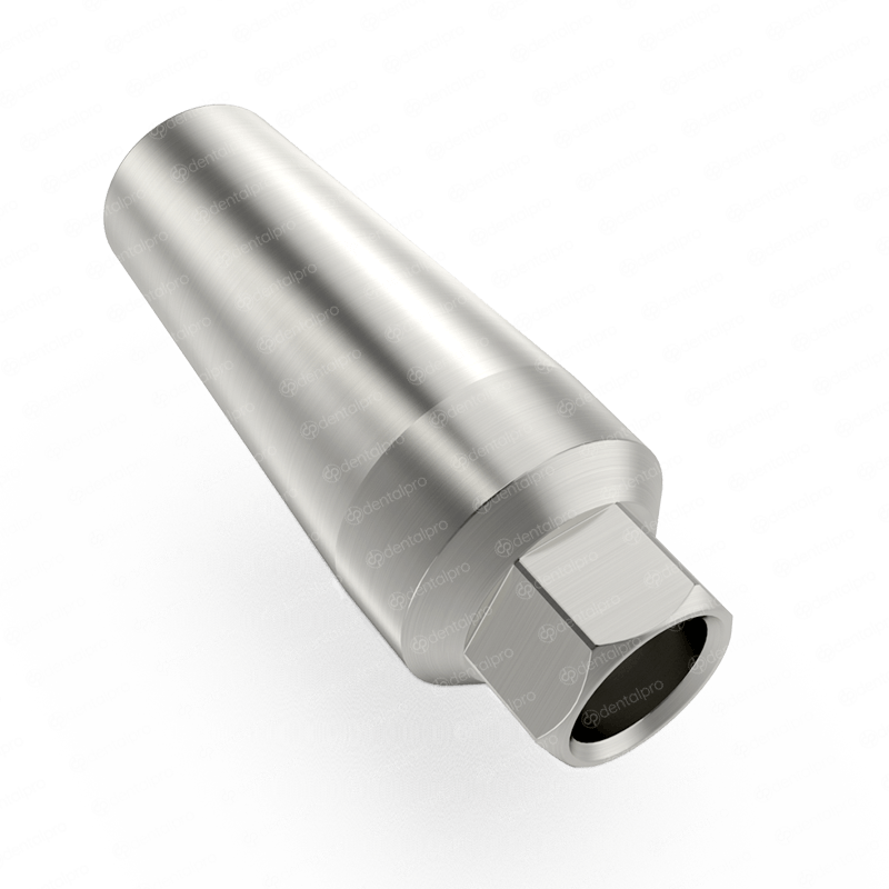 Slim Body Straight Titanium Abutment for Dental Implant - Internal Hex (SP)