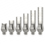 Any 100 Straight Titanium Abutments for Dental Implant - Internal Hex