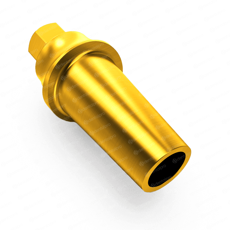 Straight Concave Titanium Abutment for Dental Implant - Internal Hex (SP)