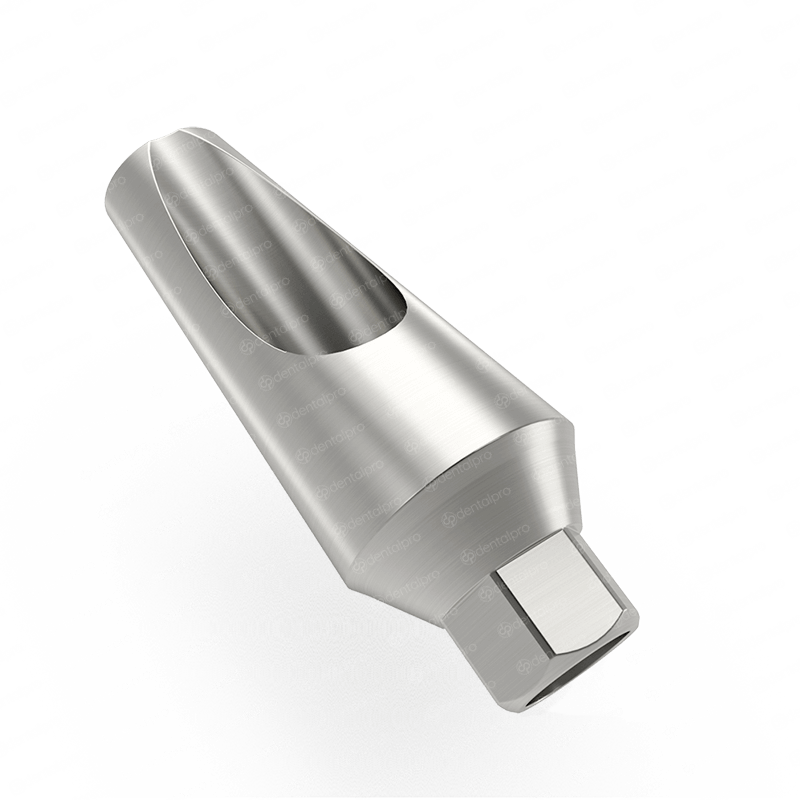 15° Angled Titanium Abutment for Dental Implant - Internal Hex (NP)