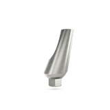 15° Angled Titanium Abutment for Dental Implant - Internal Hex (SP)