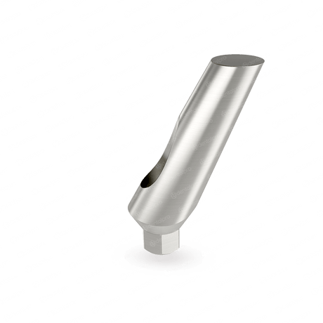 25° Angled Titanium Abutment for Dental Implant - Internal Hex (NP)