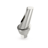 NEO® Implant + Angled Titanium Abutment - Internal Hex