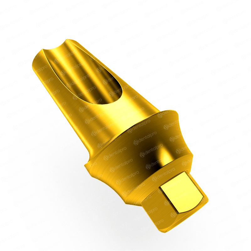 15° Angled Concave Titanium Abutment for Dental Implant - Internal Hex (SP)