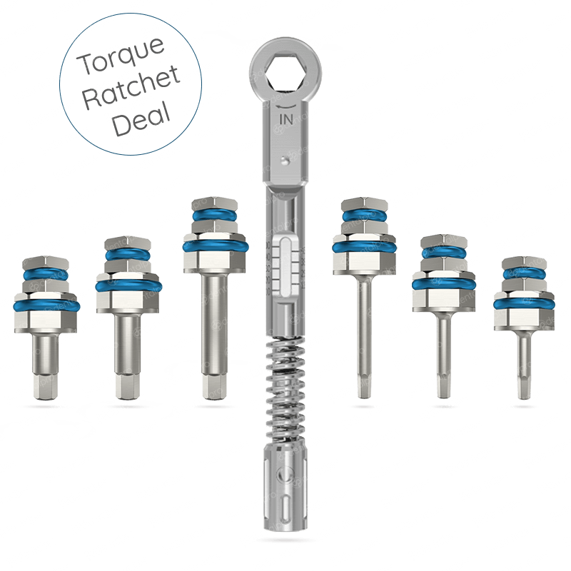 Torque Ratchet & Ratchet Hex Drivers Deal - Internal Hex