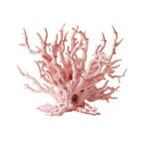 Material de Injerto Óseo Coral Bioactivo 0.5 ml Tamaño de Gránulo 600-1000 Micrones