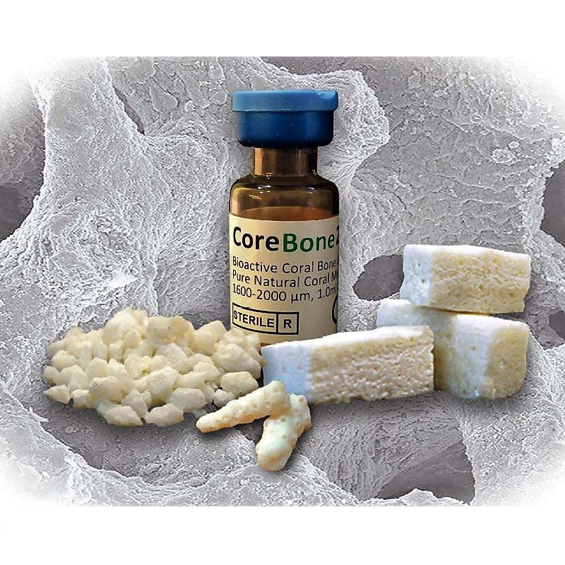 Material de Injerto Óseo Coral Bioactivo 1.0 ml Tamaño de Gránulo 1600-2000 Micrones