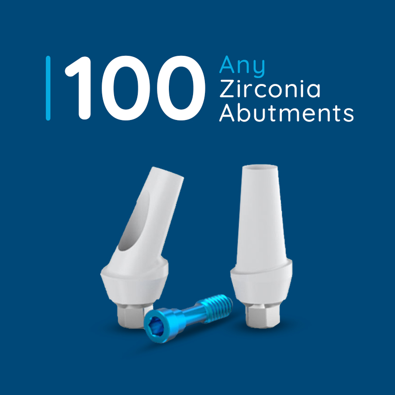 Any 100 Zirconia Abutments with Ti-Base Dental Implant - Internal Hex